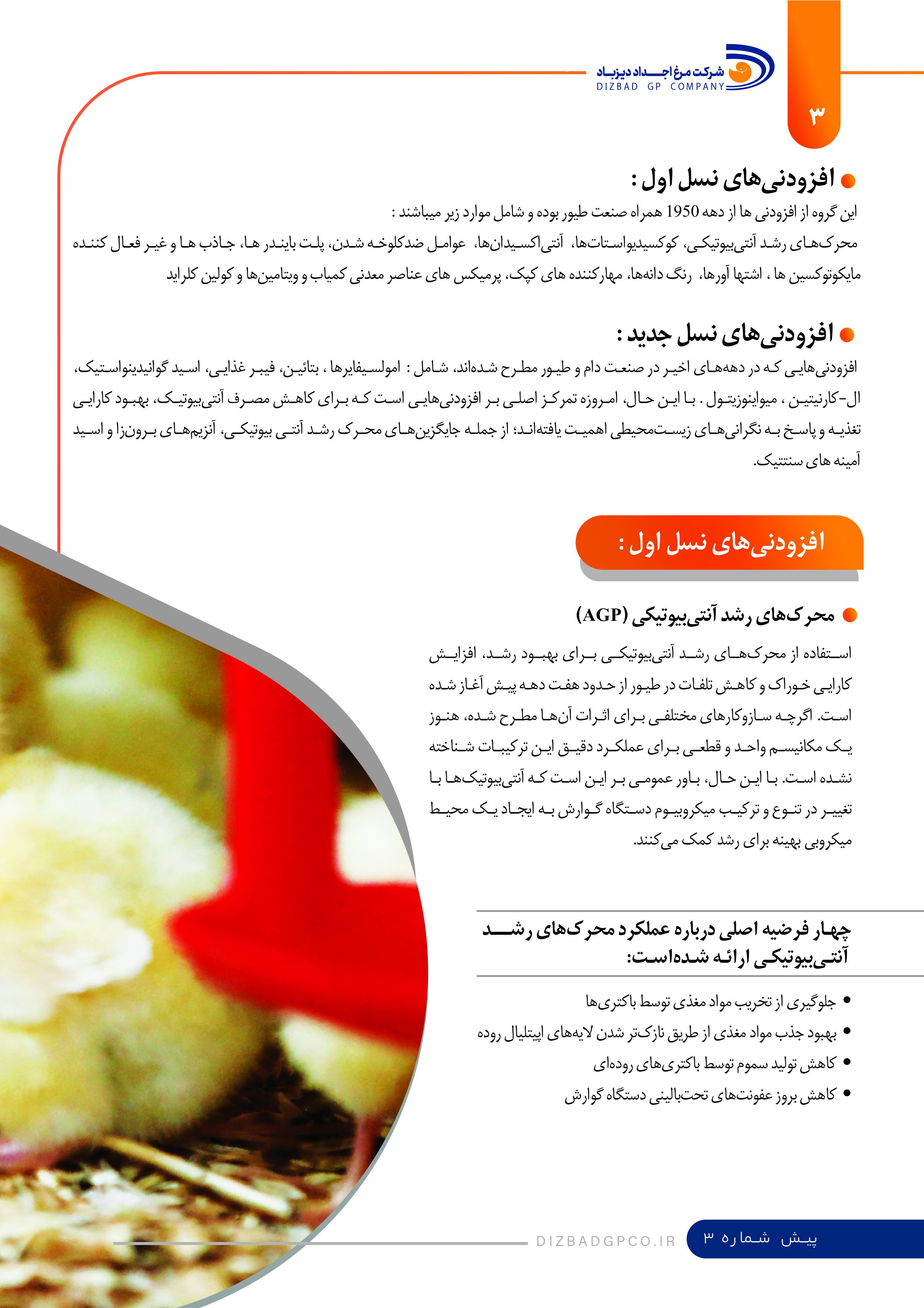 نشریه تست