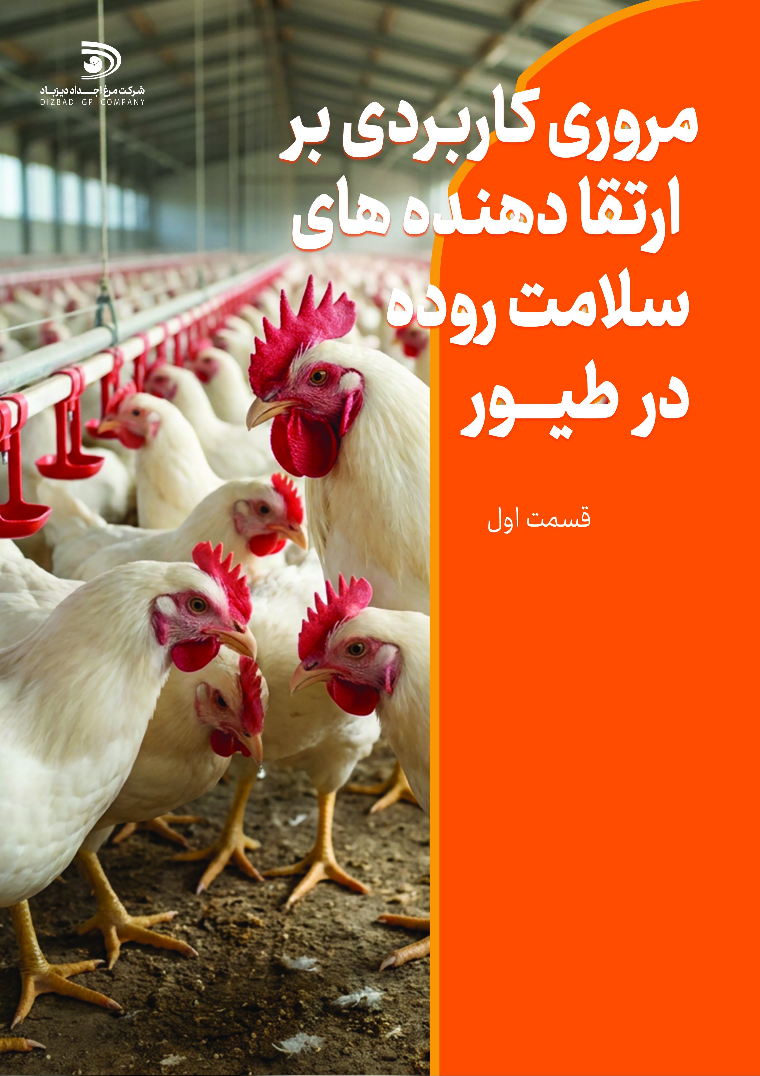 نشریه تست