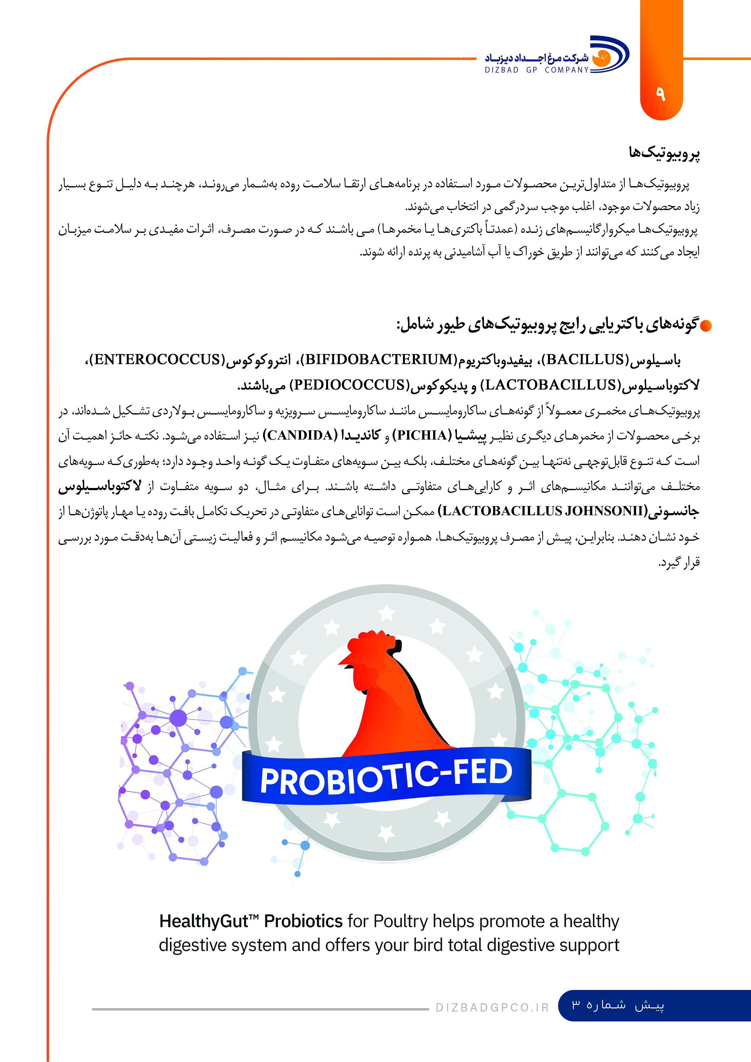 نشریه تست
