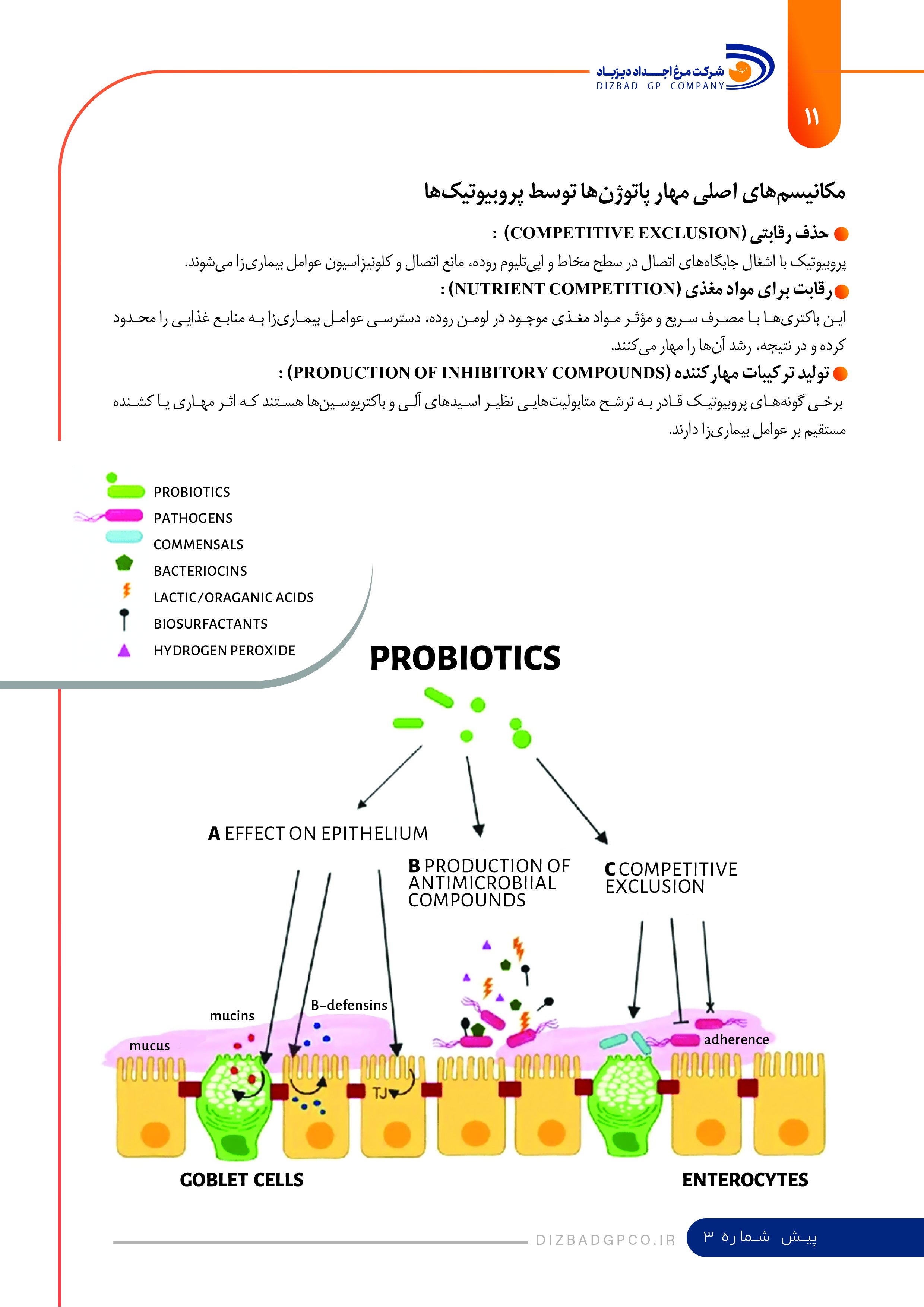 نشریه تست