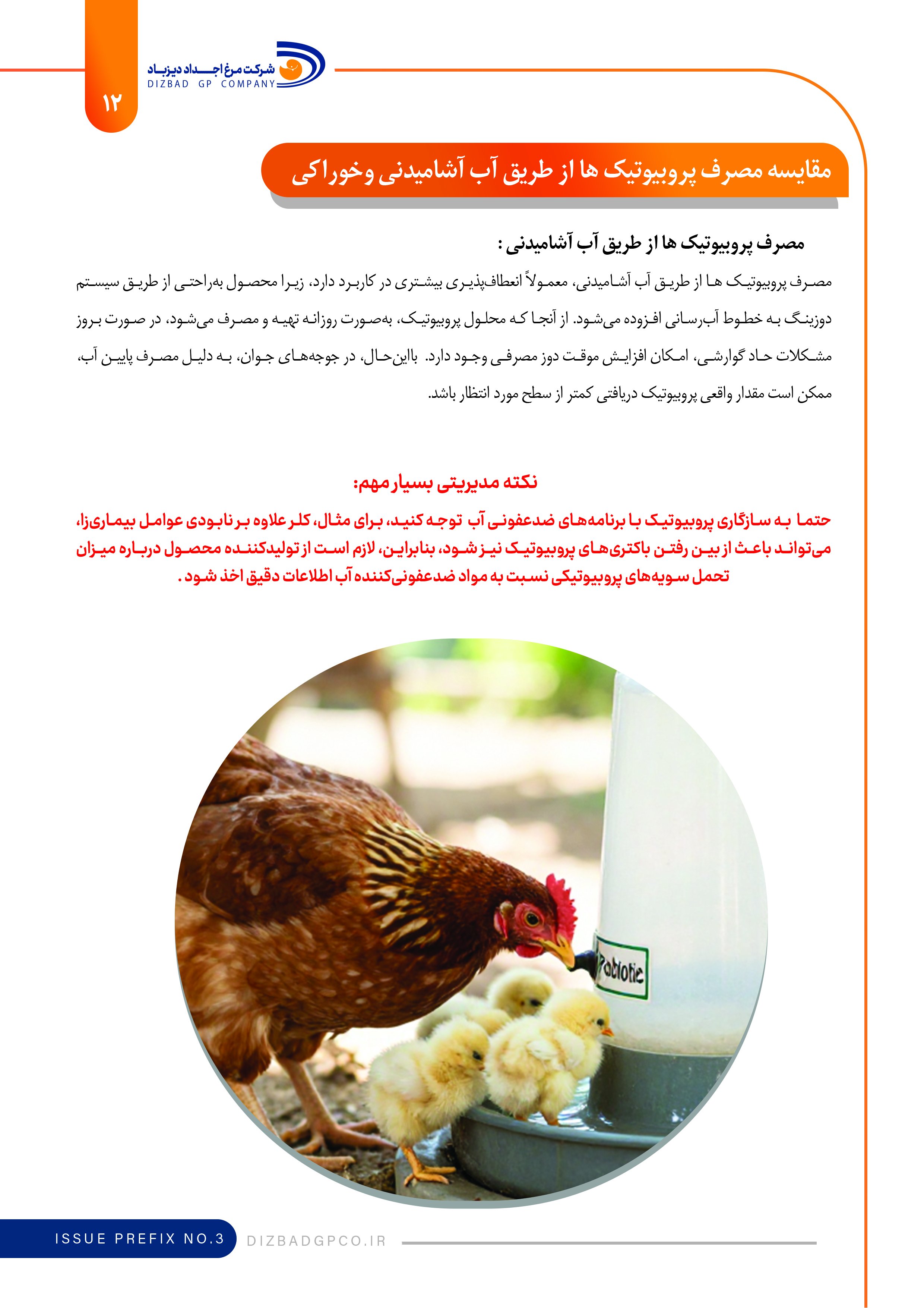 نشریه تست