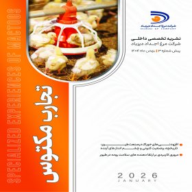 نشریه تست