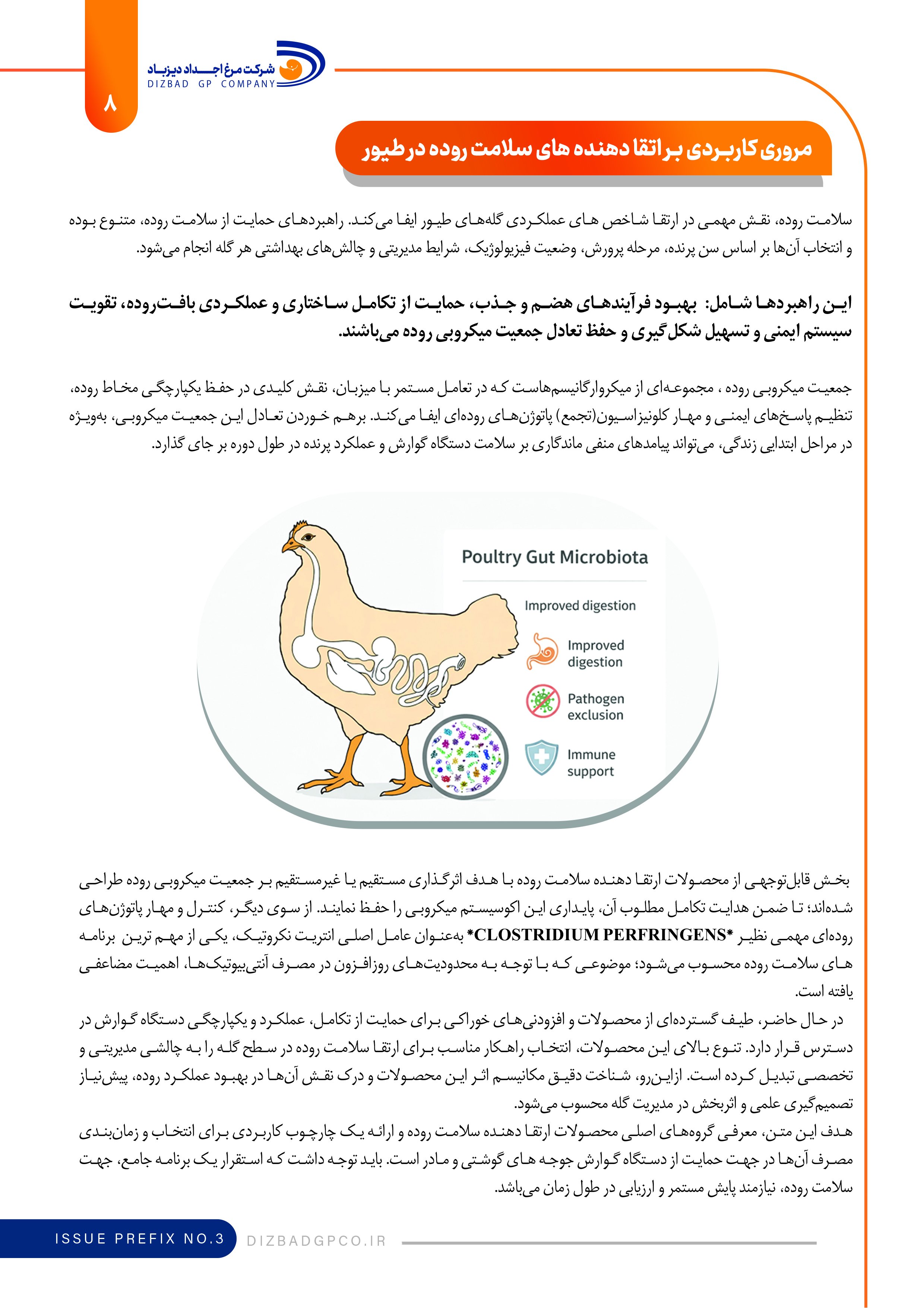 نشریه تخصصی داخلی پیش شماره سه