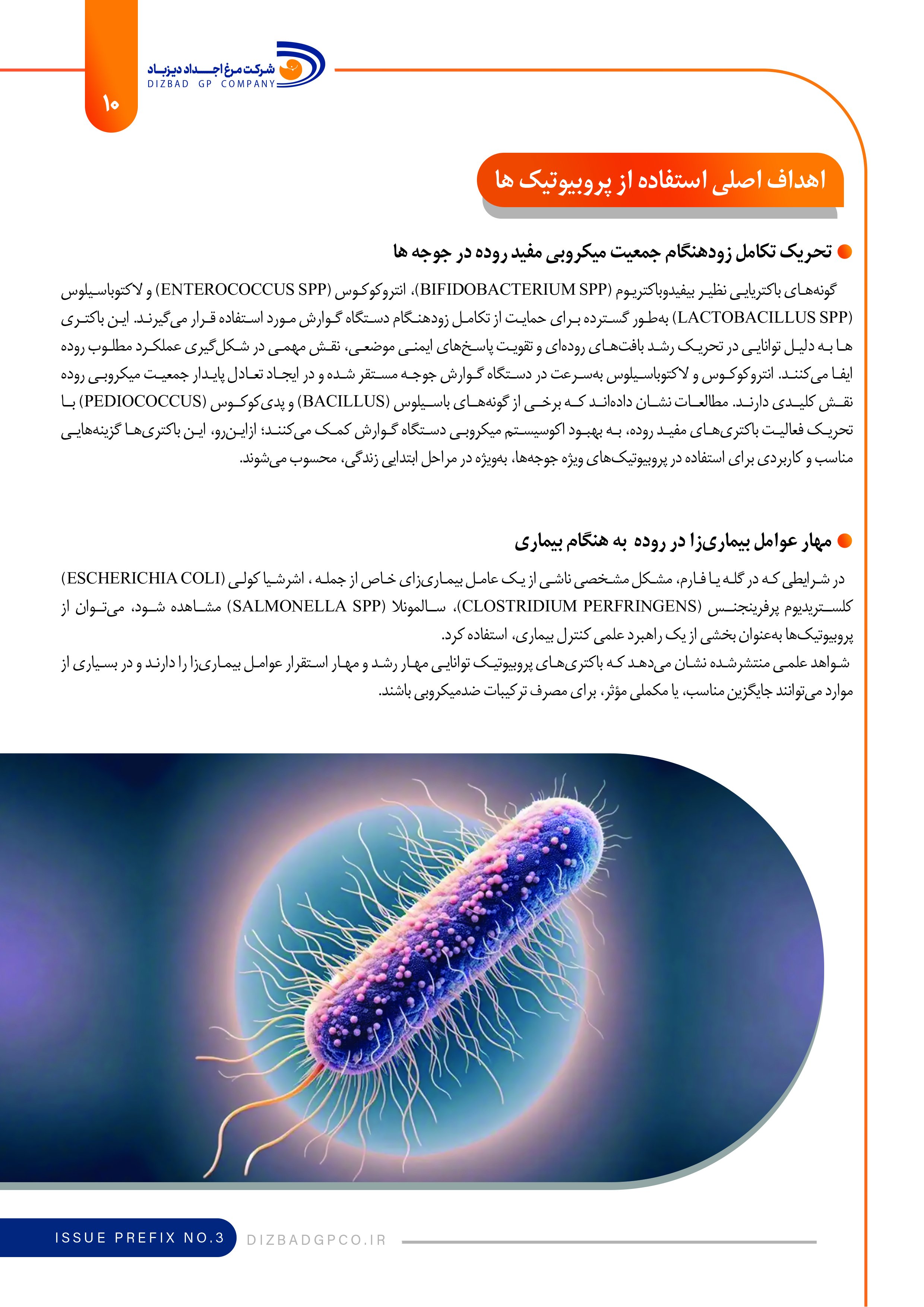 نشریه تخصصی داخلی پیش شماره سه