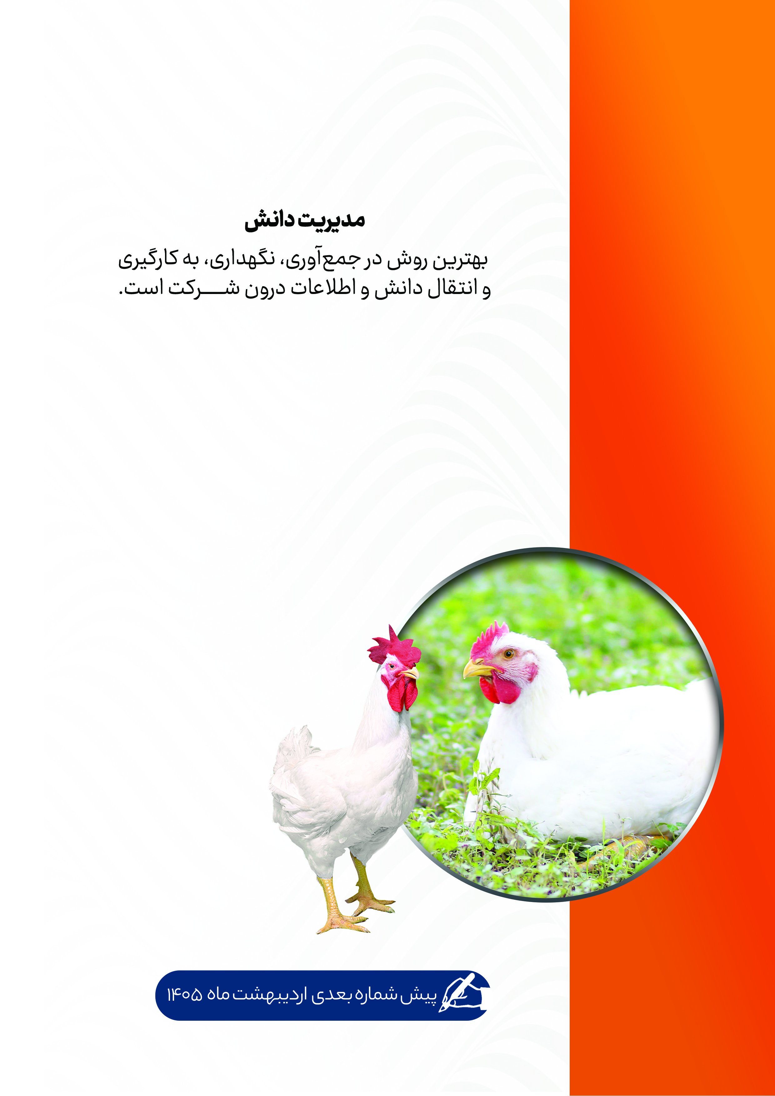 نشریه تخصصی داخلی پیش شماره سه