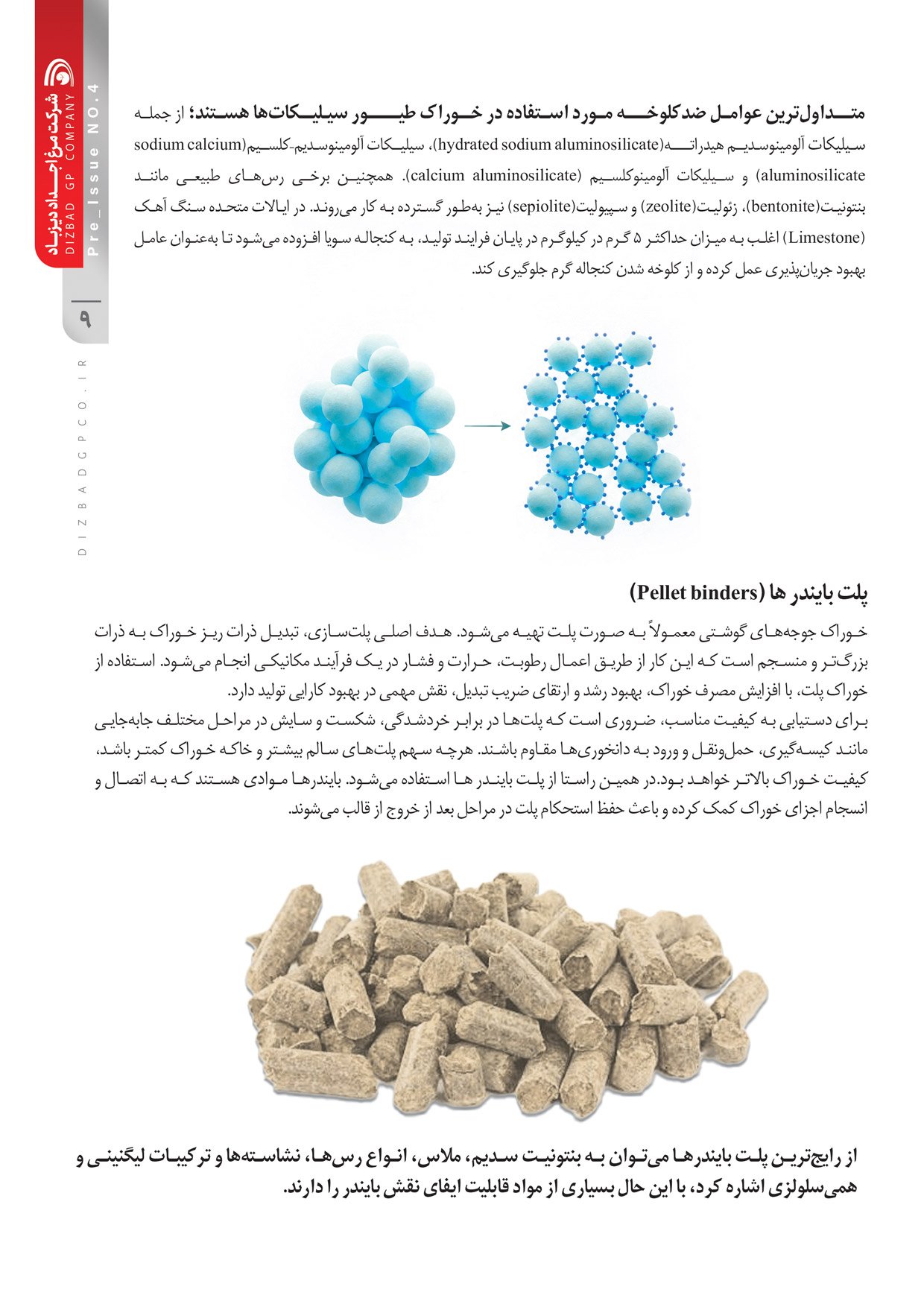 نشریه تخصصی داخلی پیش شماره 4