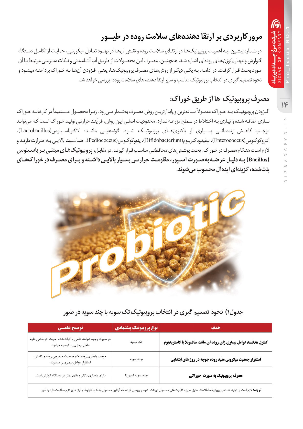 نشریه تخصصی داخلی پیش شماره 4