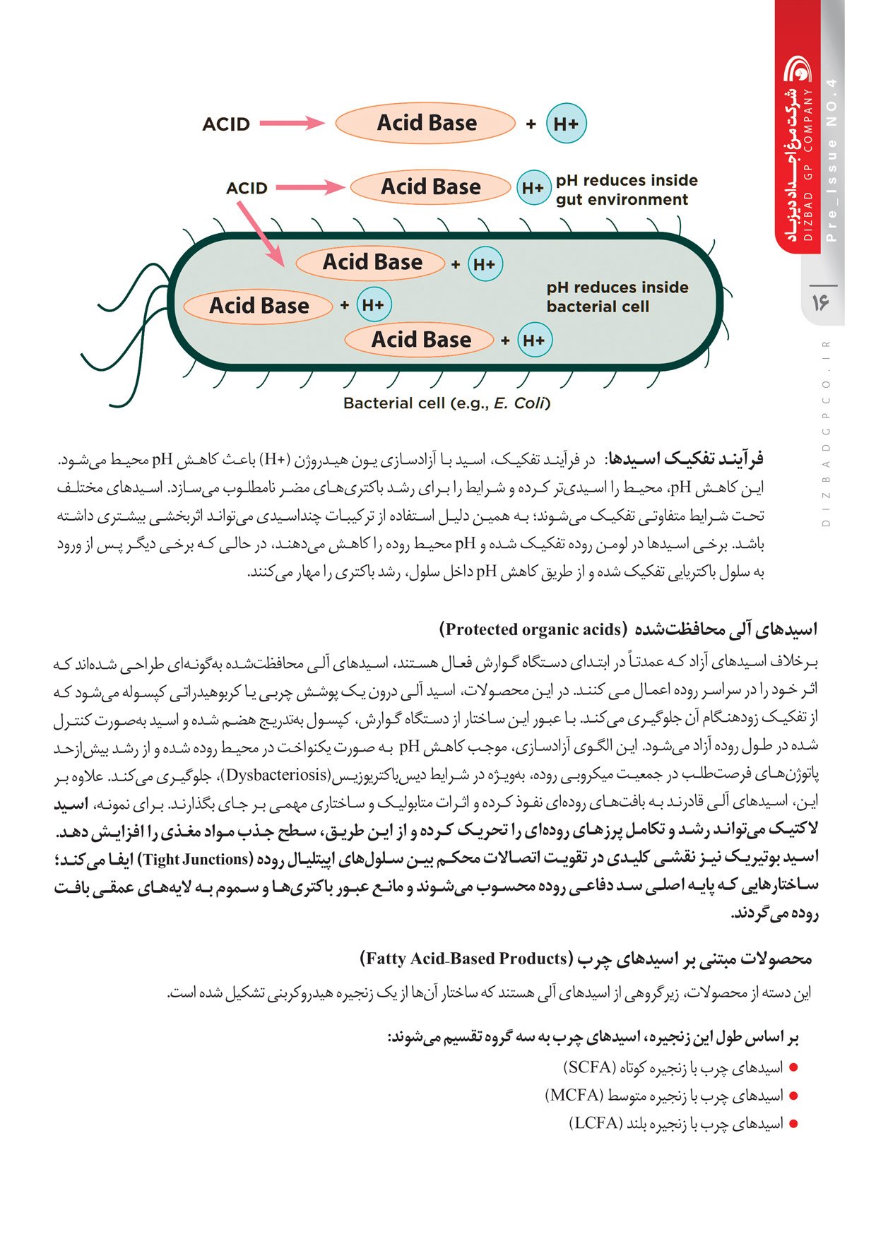 نشریه تخصصی داخلی پیش شماره 4