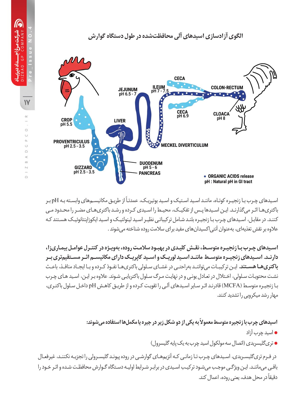 نشریه تخصصی داخلی پیش شماره 4