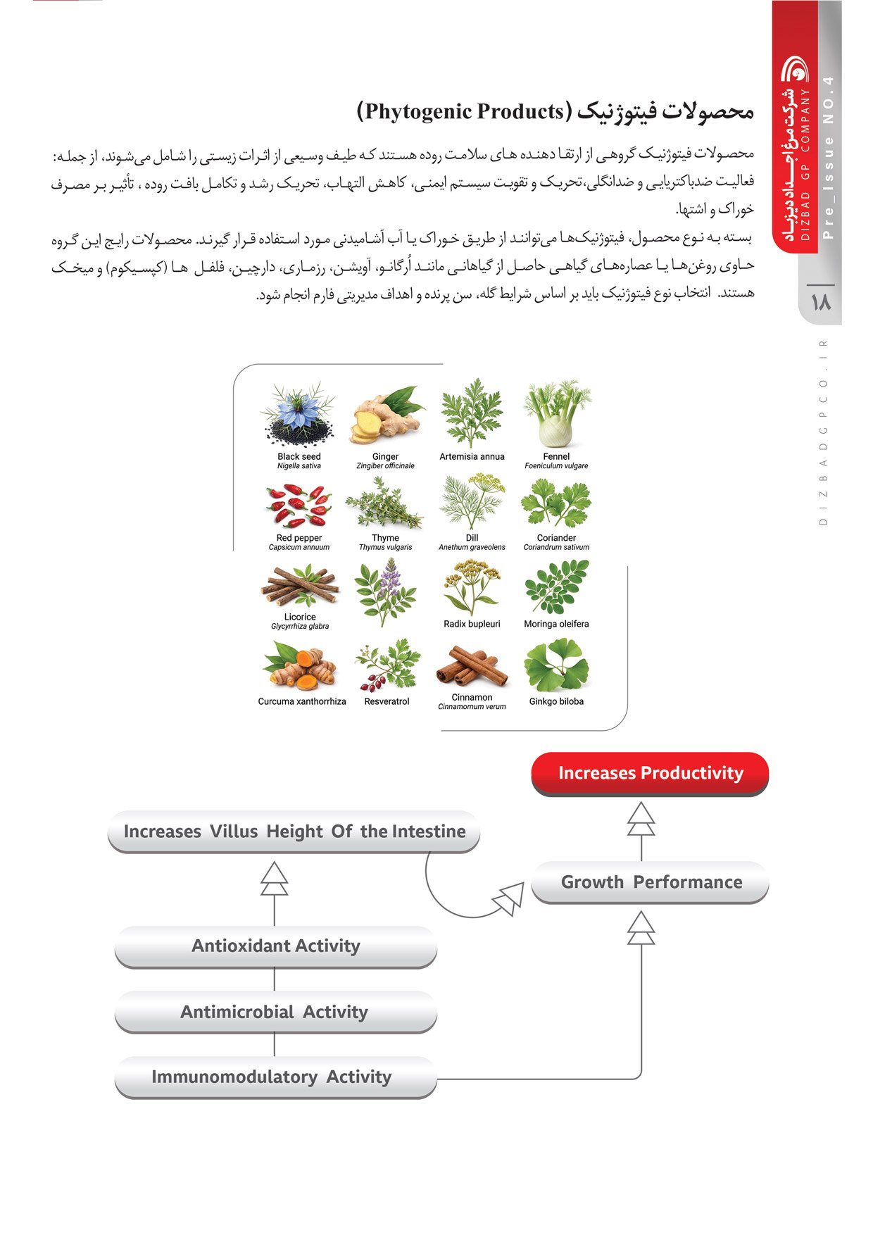 نشریه تخصصی داخلی پیش شماره 4
