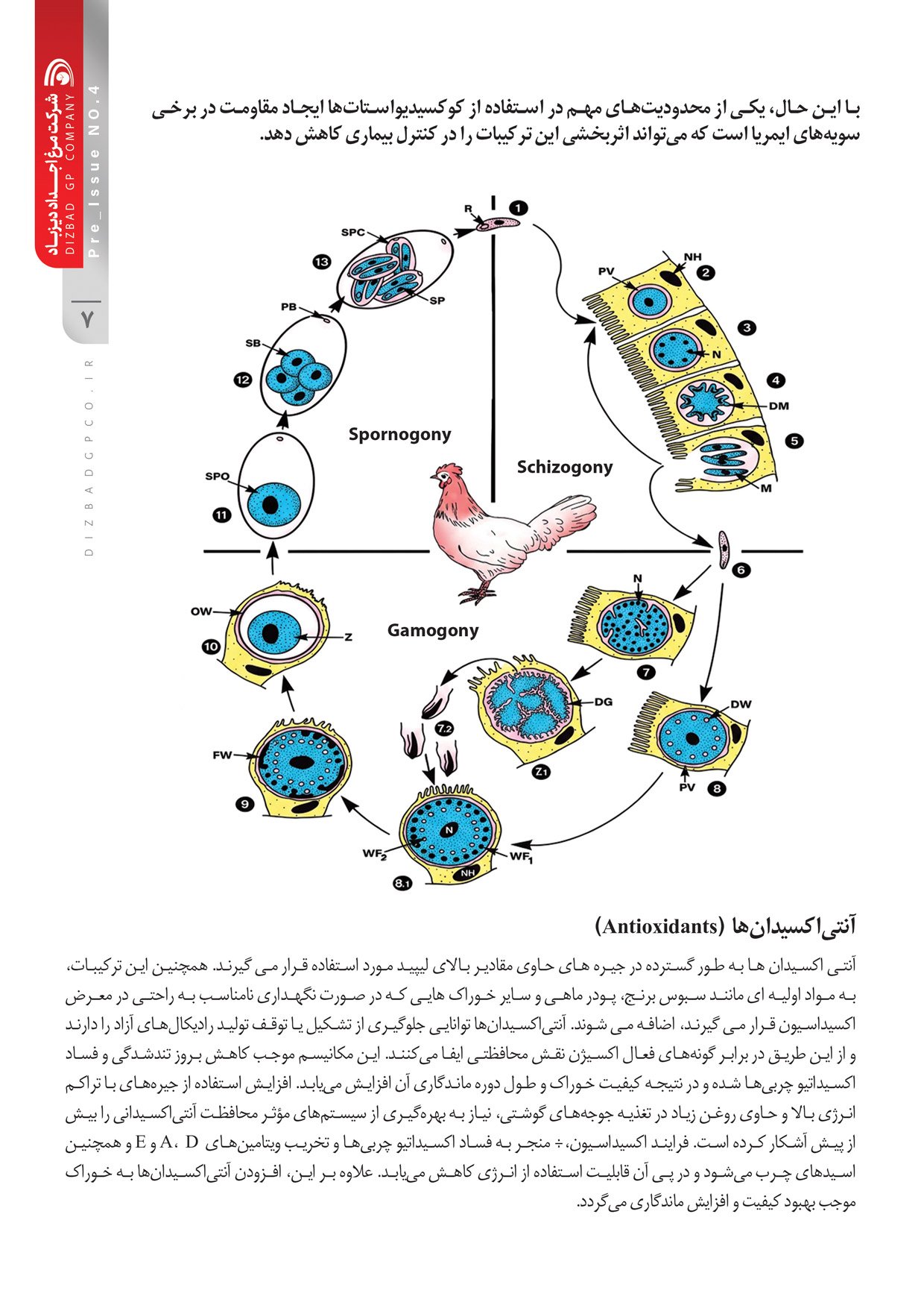 نشریه تخصصی داخلی پیش شماره 4