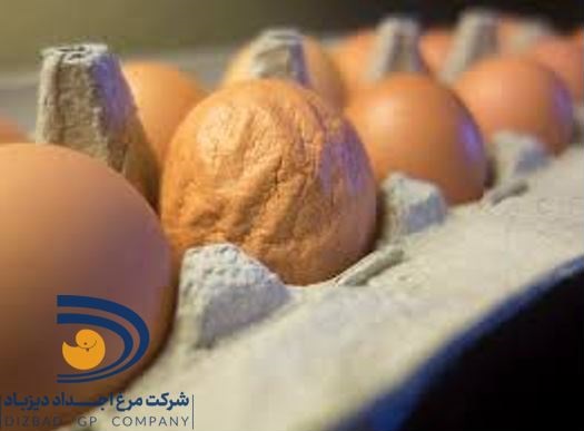 سندروم کاهش تخمگذاری (Egg Drop Syndrome)