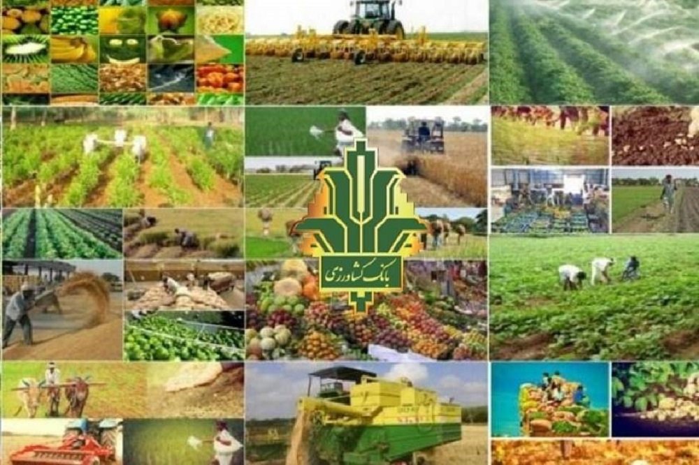 حمایت ۱۸۸۶ هزار میلیارد ریالی بانک کشاورزی از تولید و امنیت غذایی کشور