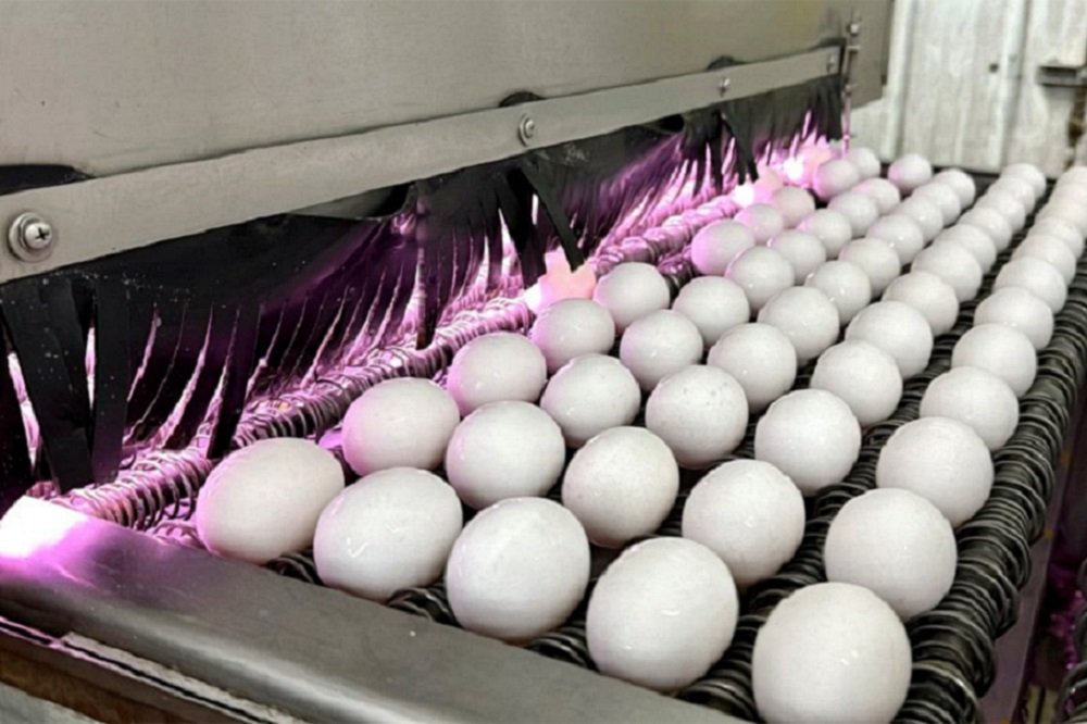 میزان مصرف تخم‌مرغ با افت ۲۰ درصدی همراه شد.