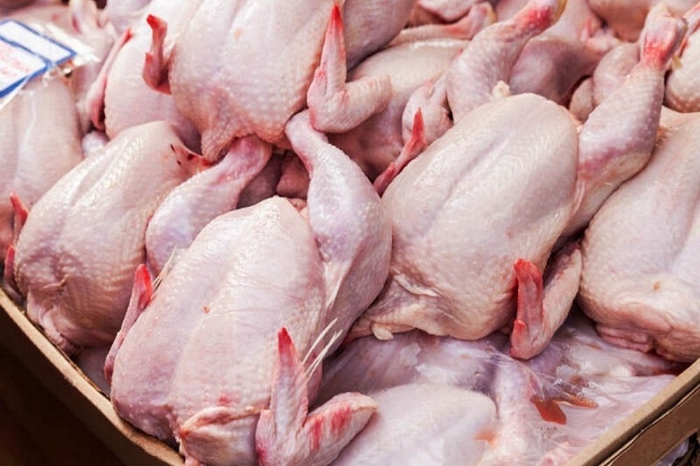 وضعیت تولید مرغ مطلوب است