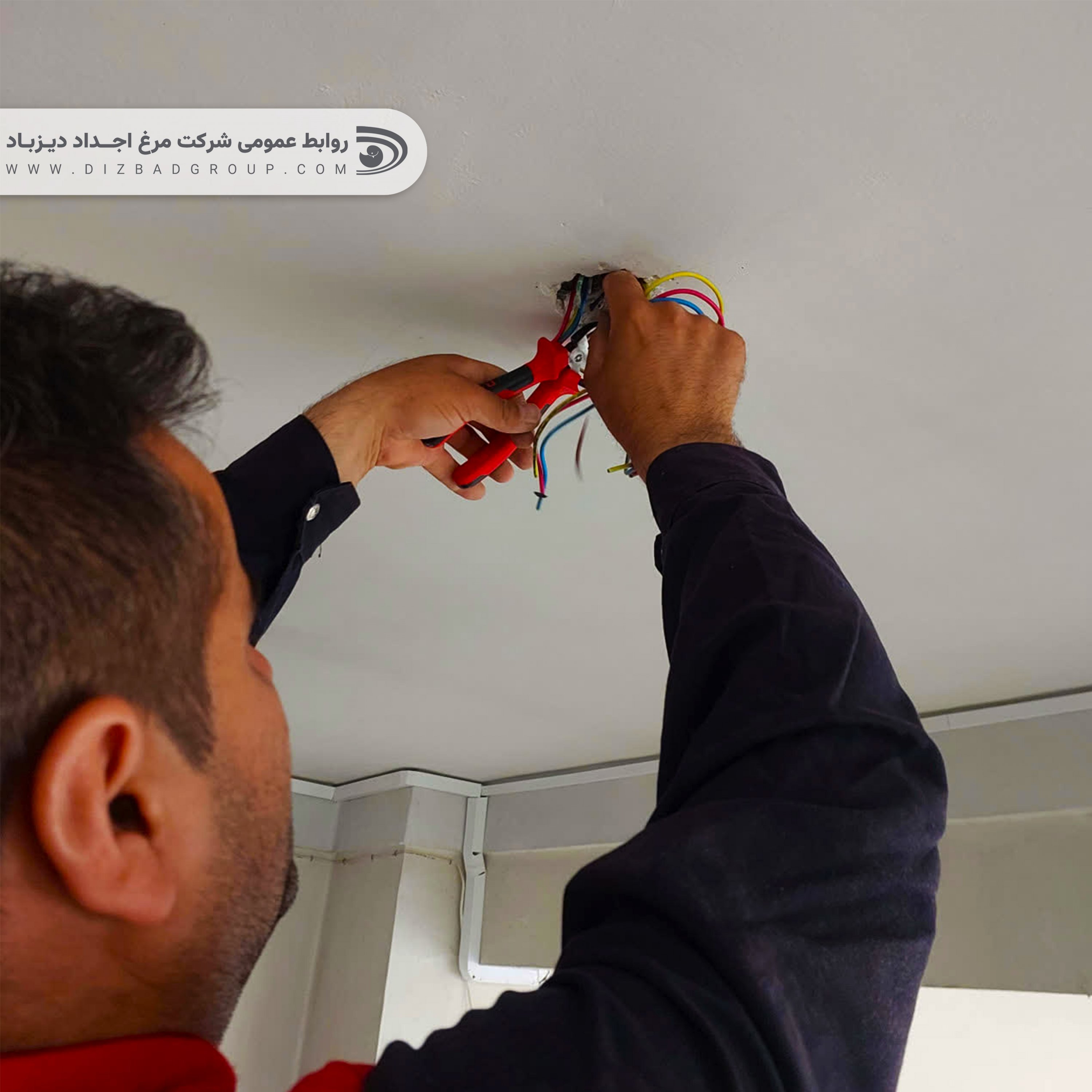 روند توسعه زیرساخت‌های کارخانه دان در شرکت اجداد دیزباد با شتاب بیشتری ادامه یافت