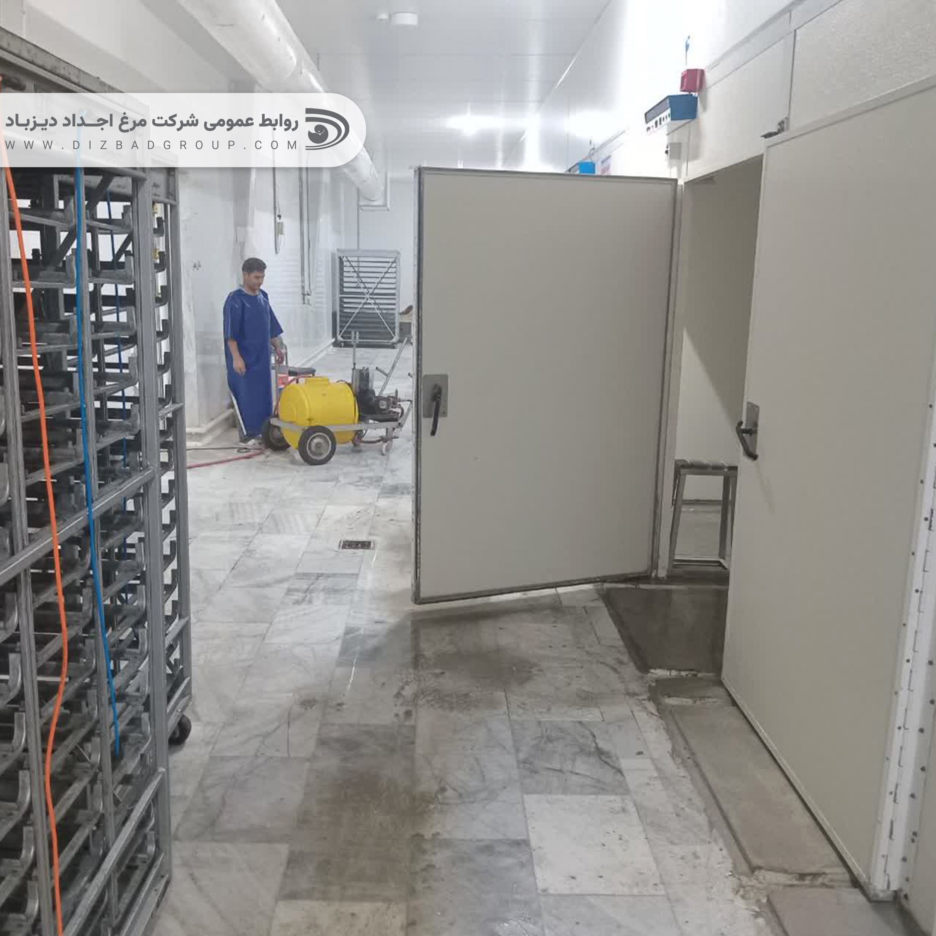 دیزباد؛ بازیابی توان تولید برای جهشی دوباره