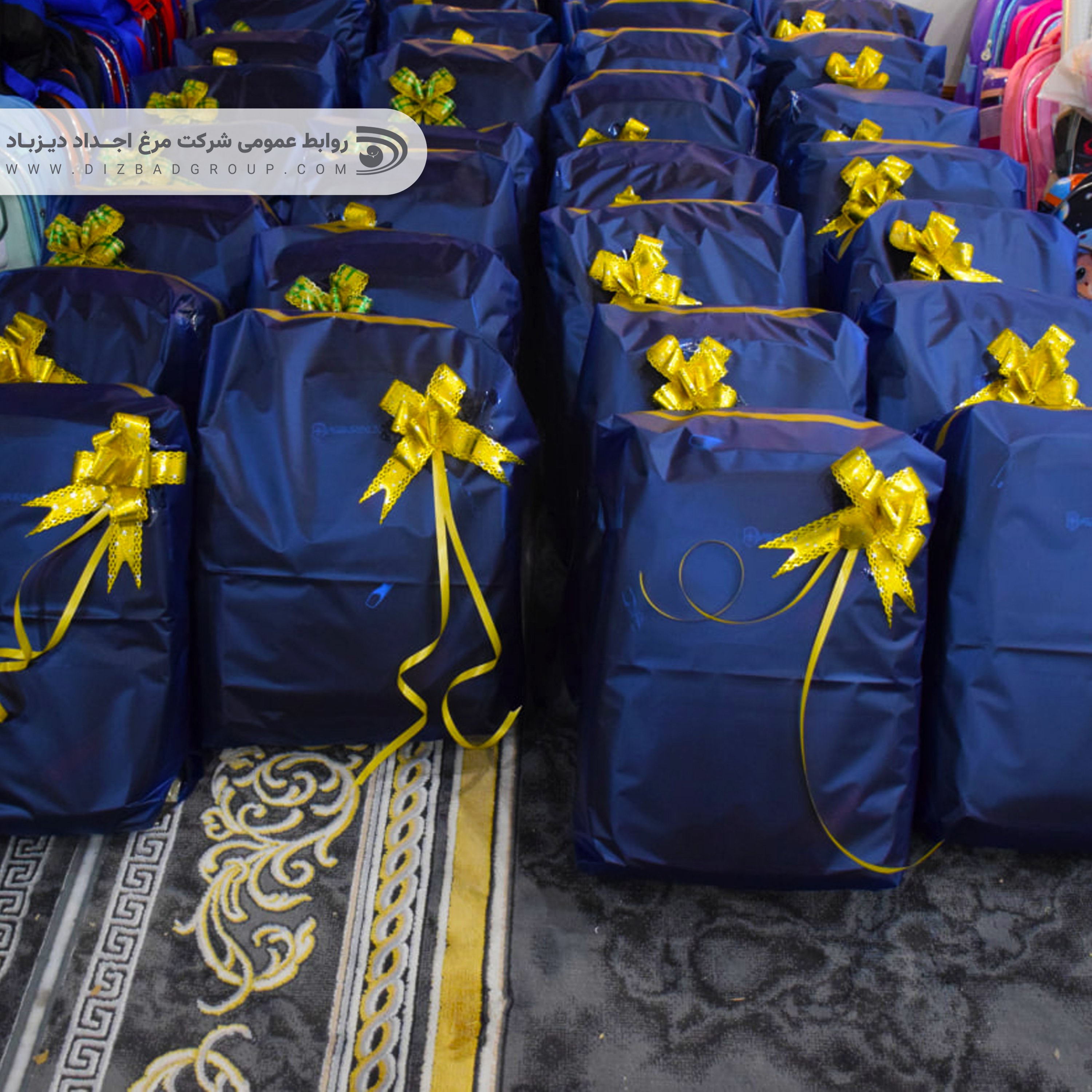 فراتر از یک اجرای اداری؛ روایت 21 روز تلاشِ خودجوش