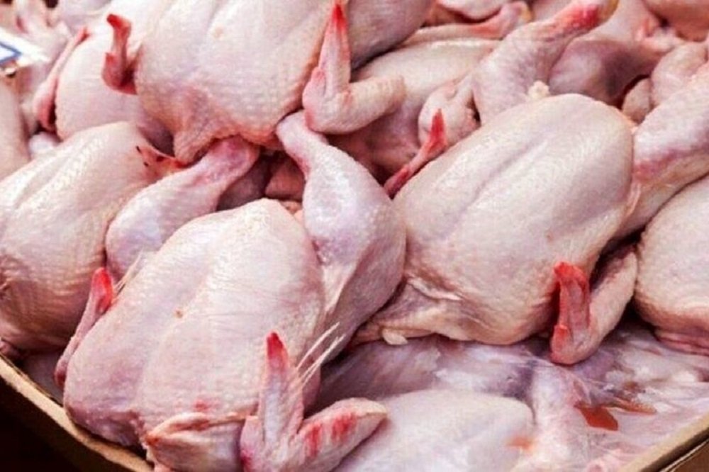 برنامهریزی برای صادرات ۶۰ هزار تن مرغ در نیمه دوم سال
