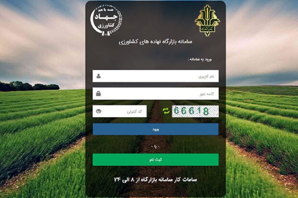 جوجه یکروزه به زودی از طریق سامانه بازارگاه عرضه میشود