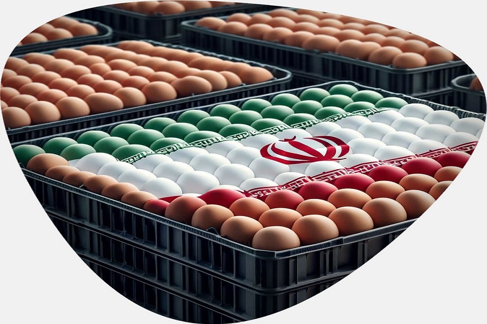 ۳ میلیون و ۹۰۰ هزار کیلوگرم تخم مرغ از خراسان جنوبی صادر شد