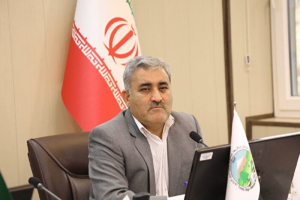 روزانه ۳۴۰ تن مرغ وارد بازار آذربایجانغربی میشود