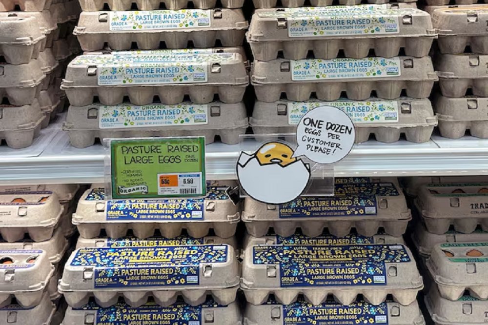 ترکیه ۱۵ هزار تن تخم مرغ به آمریکا صادر میکند