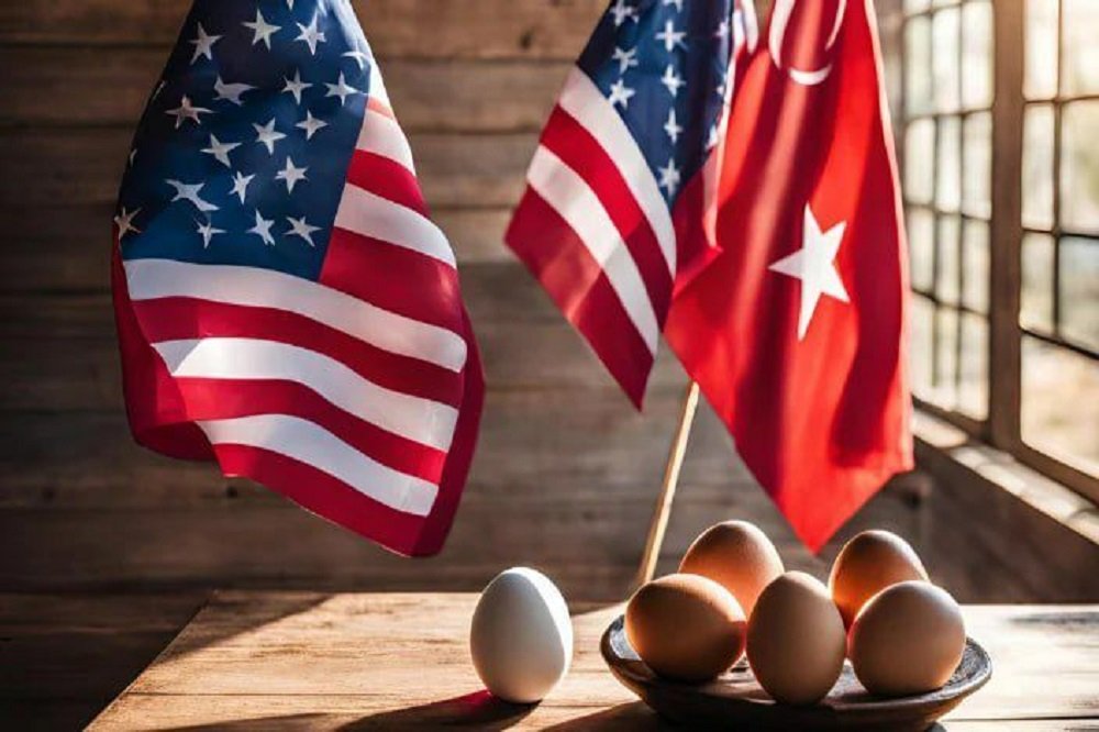 بحران قیمت تخممرغ در آمریکا حاد شد