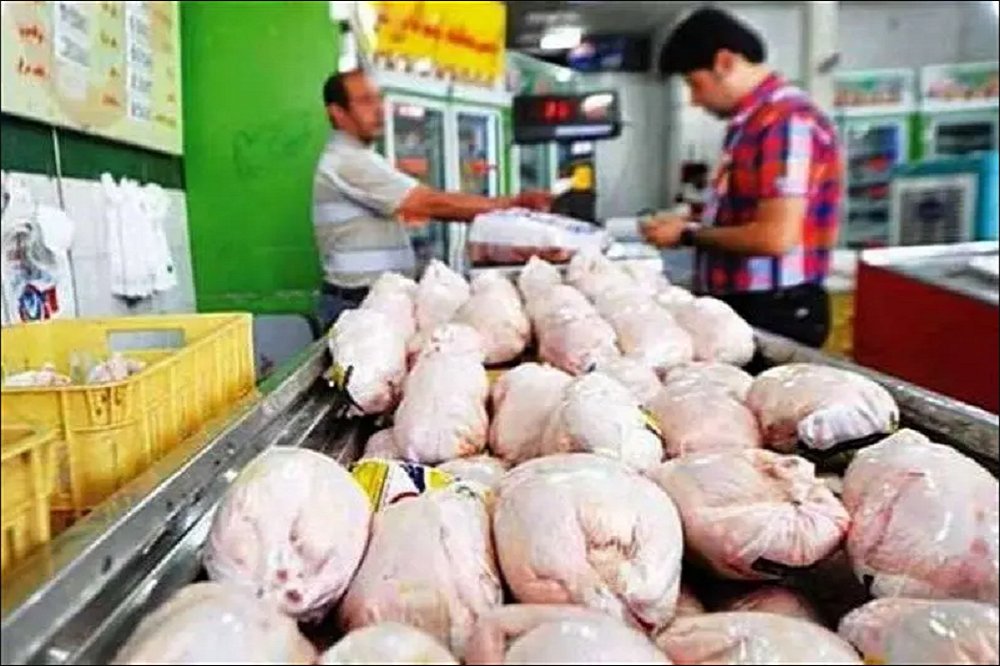 قیمت گوشت مرغ تابع عرضه و تقاضا است