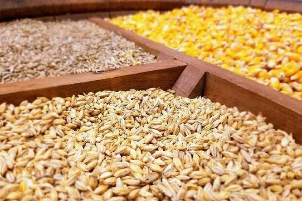 اصلاحیه دولت برای کاهش مالیات ارزش افزوده نهادههای دامی