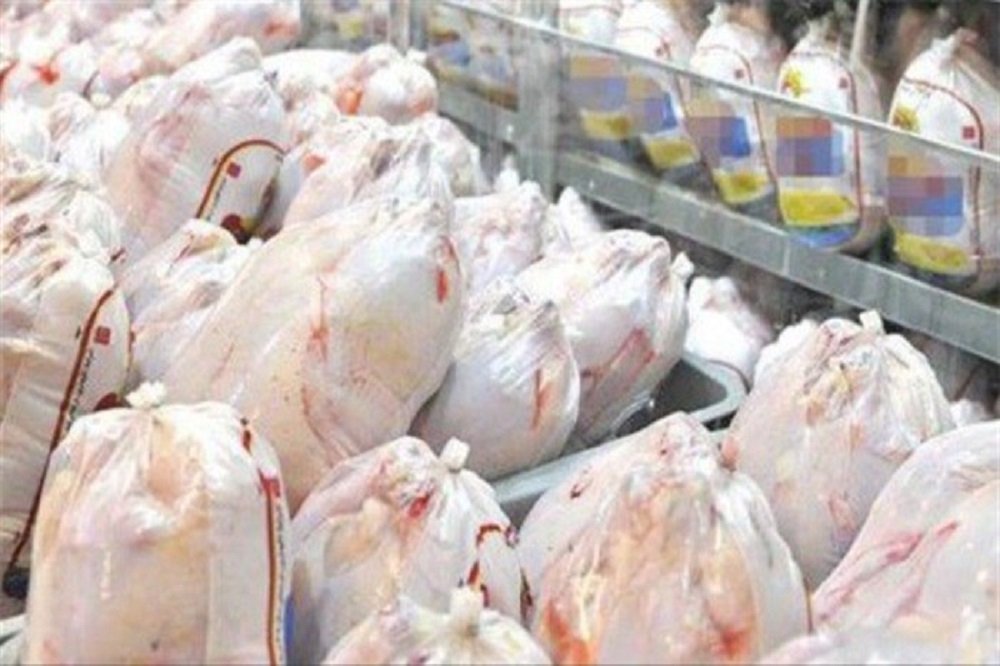 خرید حمایتی مرغ به بیش از ۱۲ هزارتن رسید