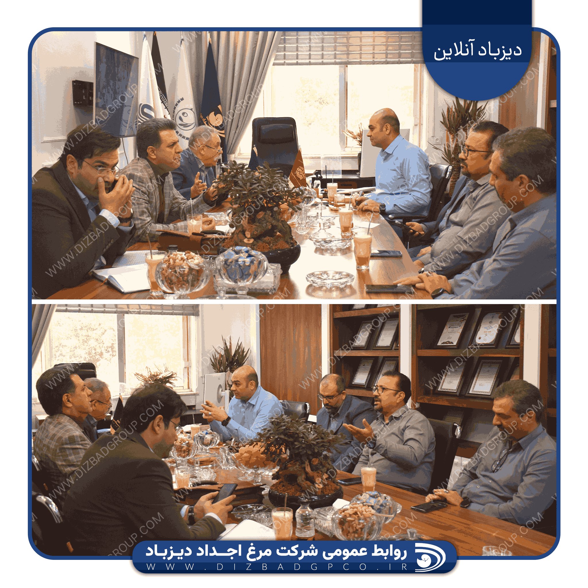 تامین مرغ گوشتی استان اردبیل توسط زنجیره مرغ اجداد دیزباد