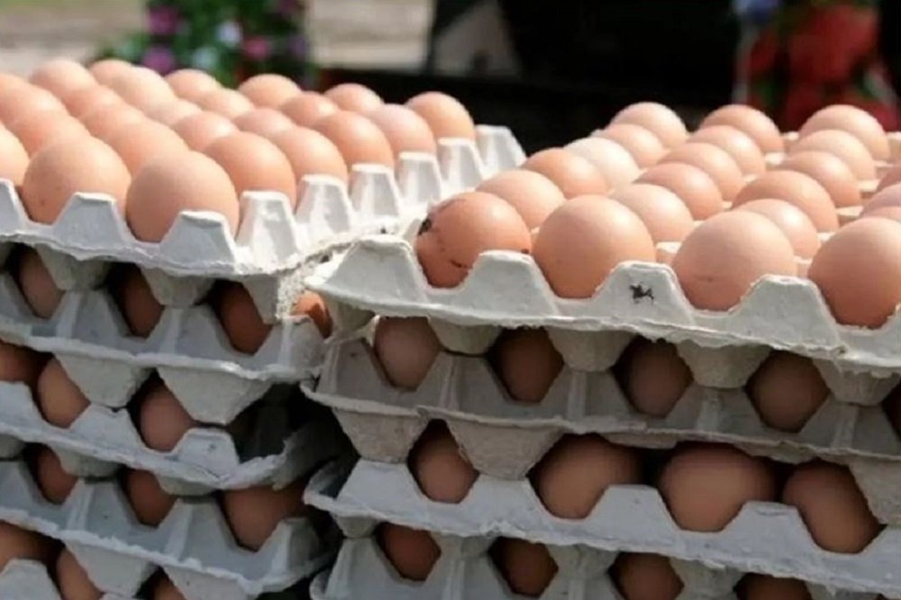 نرخ منطقی هر شانه تخم مرغ برای مصرف کننده ۱۵۰ هزارتومان