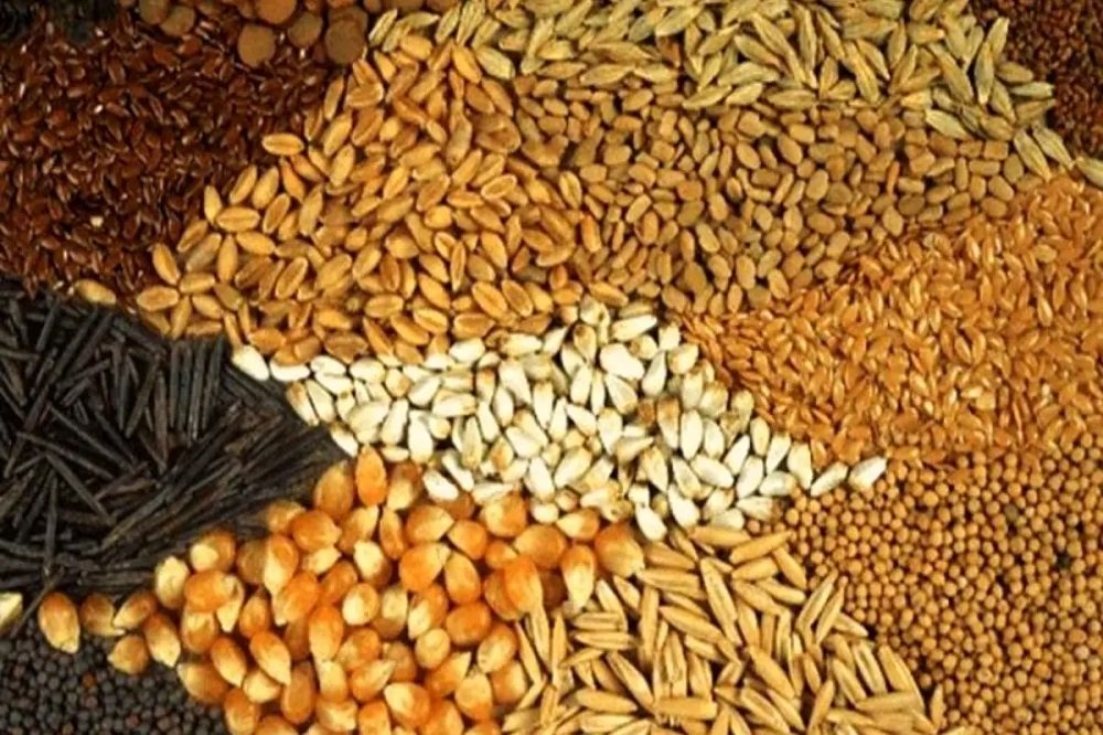 اجازه هیچگونه کمبود و اختلال در تامین را نخواهیم داد