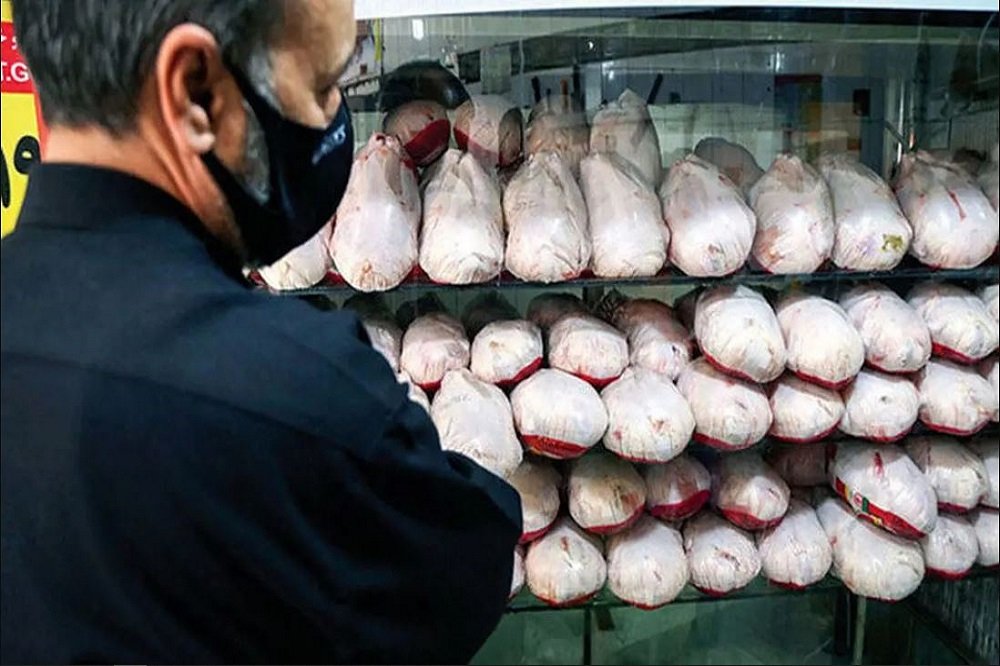 رئیس اتاق اصناف رشت: نظارت بر توزیع و فروش مرغ افزایش می‌یابد