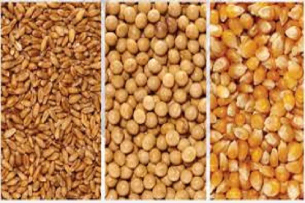 با دستور رئیس جمهور در کوتاه ترین مدت نهاده می‌رسد