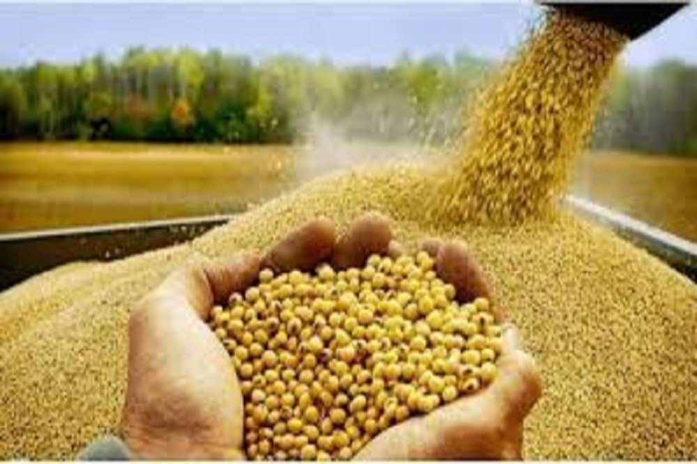 دستور صریح رئیس جمهور: محموله‌های دامی به کدام واحدها رسید؟