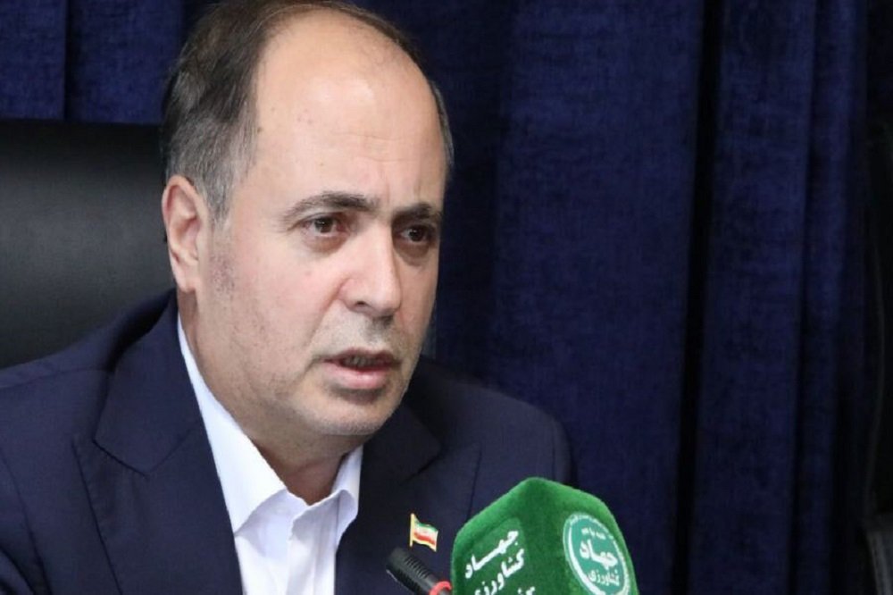 «ترک فعل» در موضوع ثبت سفارش نهاده ها نادرست است