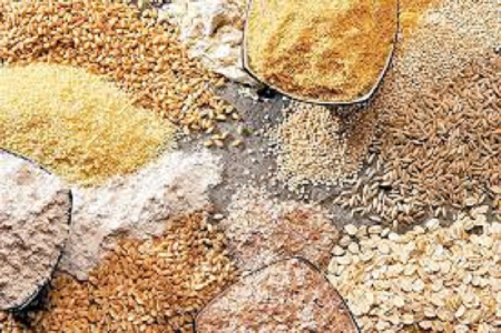 آغاز ثبت سفارش جدید دانه‌های روغنی و کنجاله از ۱۲ آبان