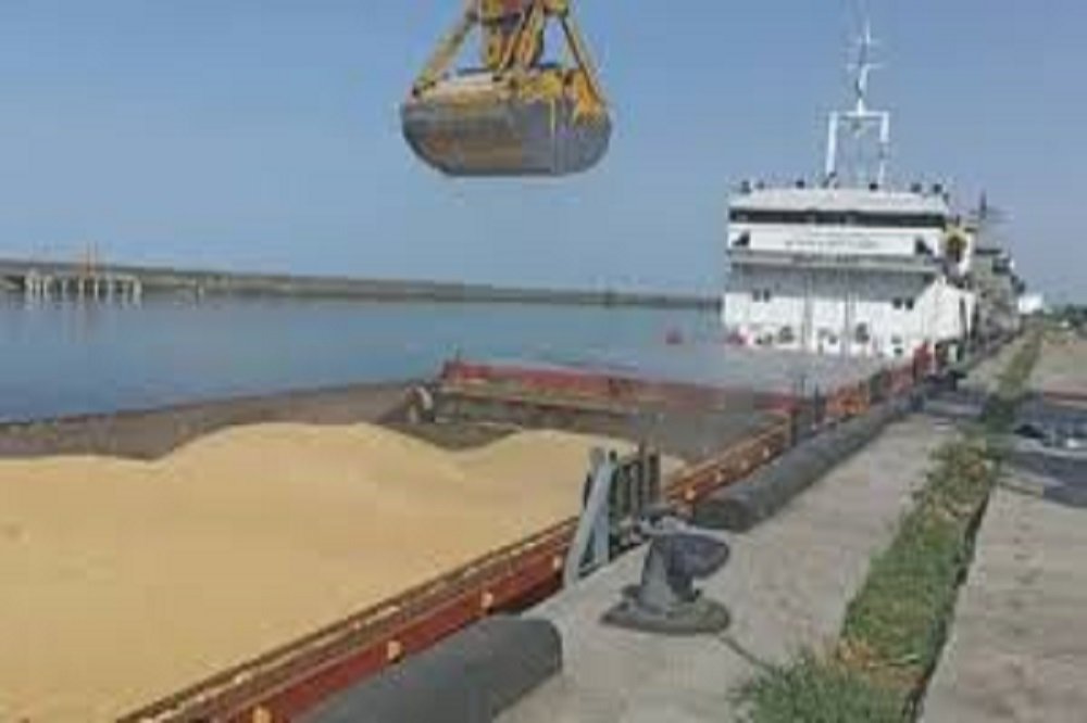 آغاز مرحله جدید طرح تشدید نظارت بر بازار نهاده‌های دامی