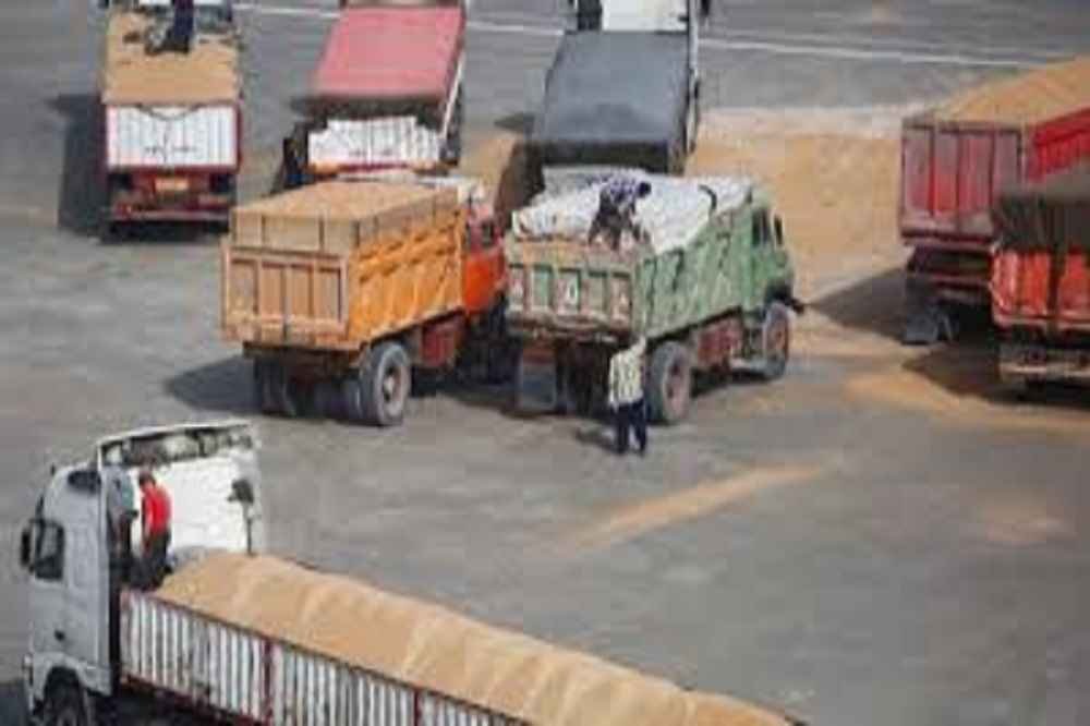 ۴۵ هزار تن نهاده‌ دامی در دریای خزر بلاتکلیف مانده است...