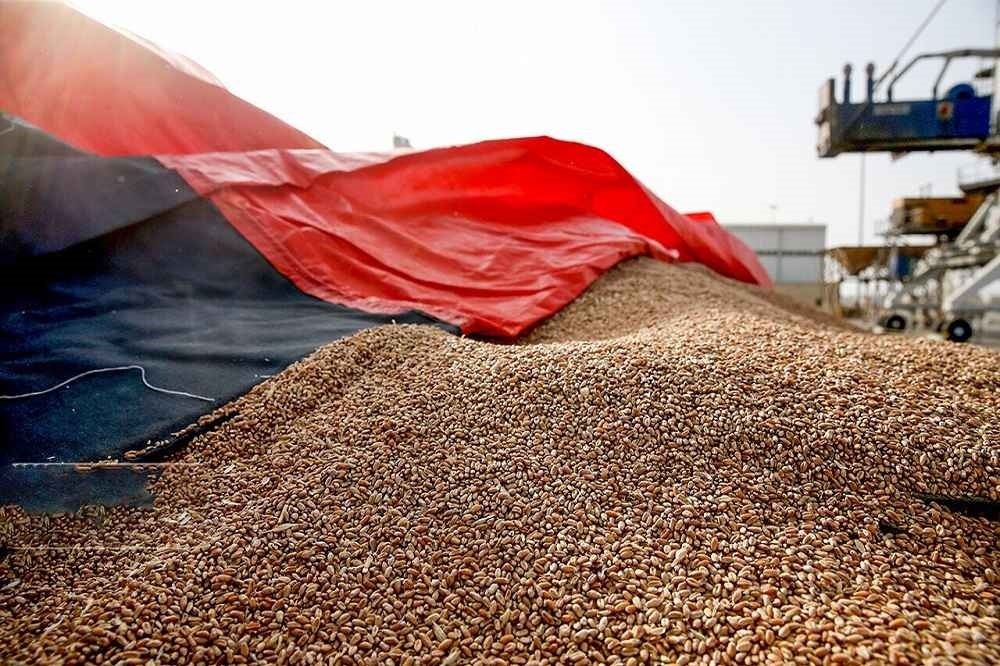 نهاده را ۳ برابر نرخ مصوب می خریم