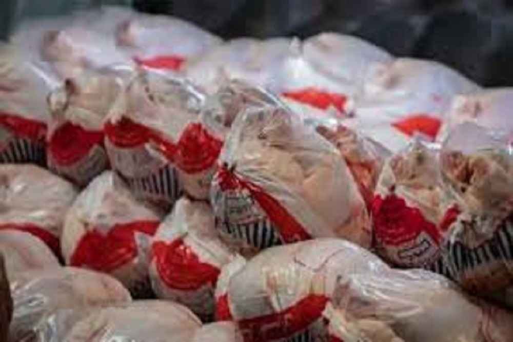 ماهانه ۲۴۰ هزارتن مرغ در کشور مصرف می شود