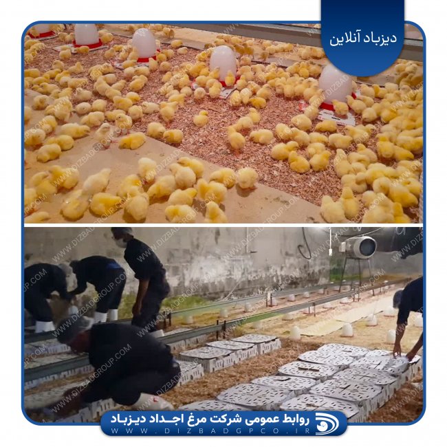 جریان پایدار تولید، رسالتی بنیادین برای شرکت اجداد دیزباد