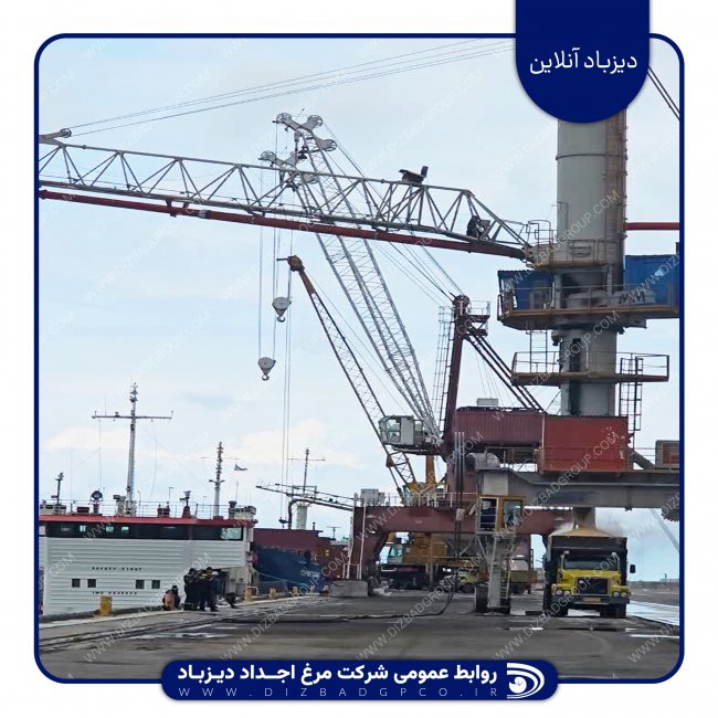 صیانت از سلامت زنجیره تولید در مبادی ورودی؛ پایش کیفی و رایزنی‌های استراتژیک «اجداد دیزباد» در بندر امیرآباد