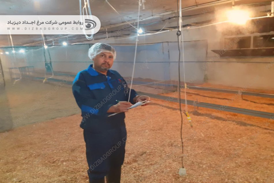 آماده‌سازی فارم‌های ۱ و ۲ اجداد دیزباد برای جوجه‌ریزی
