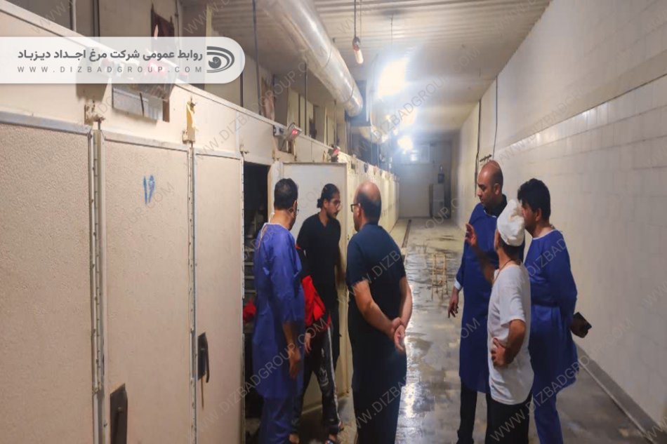 نظارت راهبردی مدیرعامل و تیم ارشد اجداد دیزباد بر زنجیره تأمین در شمال کشور
