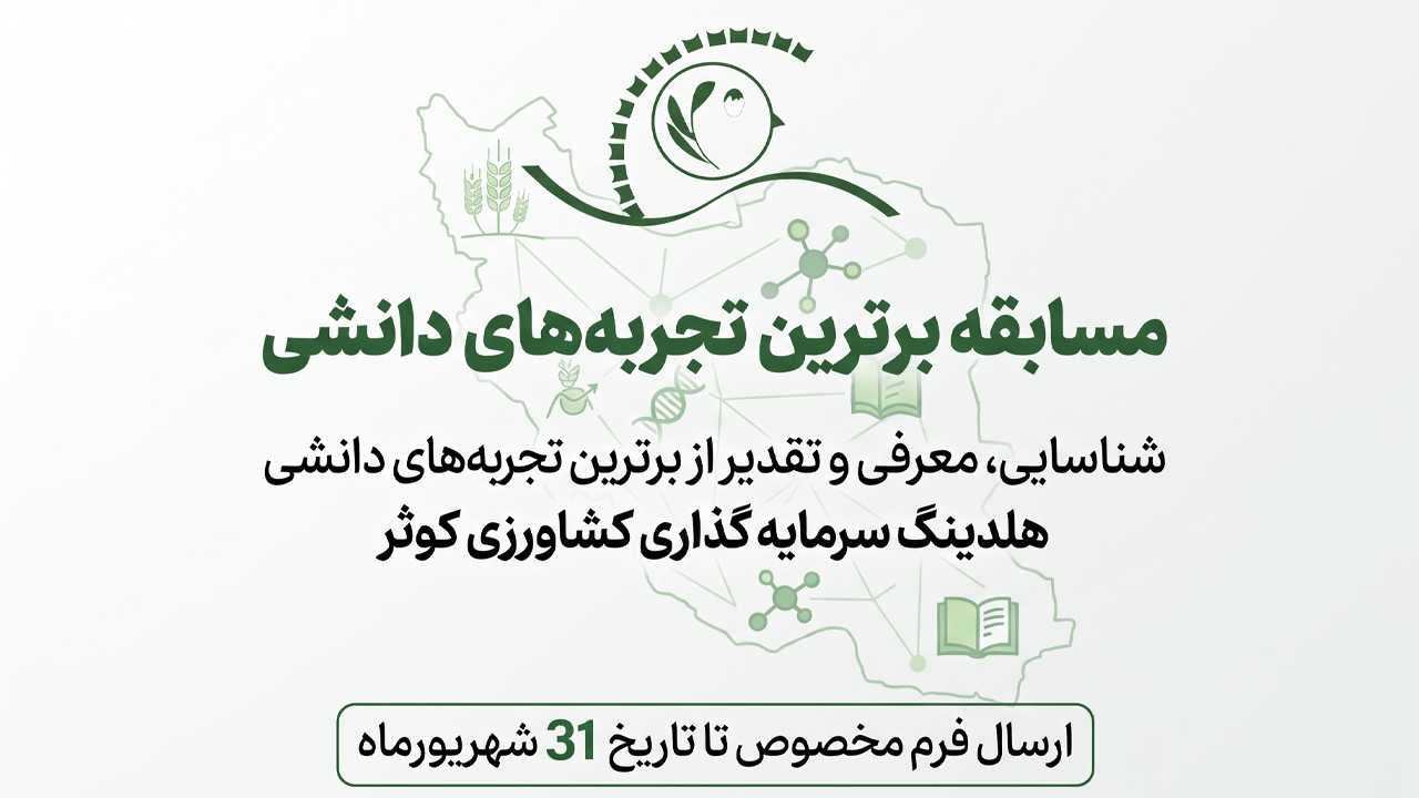 بنرهلدینگ
